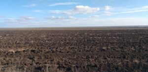 Грунтові гербіциди
