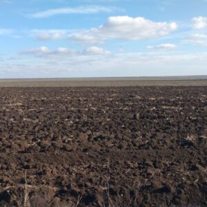 Грунтові гербіциди
